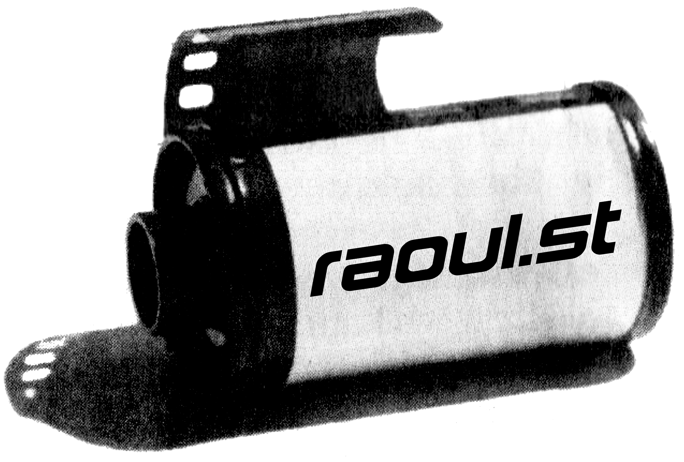 Raoul Steiger
